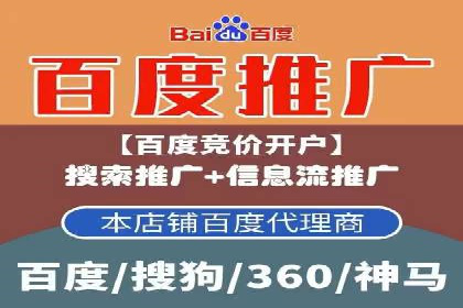 竞价排名与自然排名的对比案例